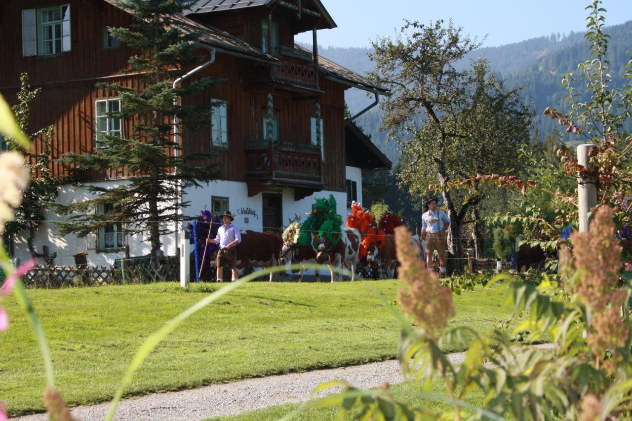 Gaestehaus Hoegerhof Hopfgarten im Brixental Kültér fotó